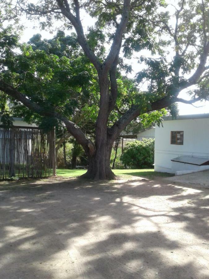 Guinea Fowl Villa Plettenberg Bay Exterior photo