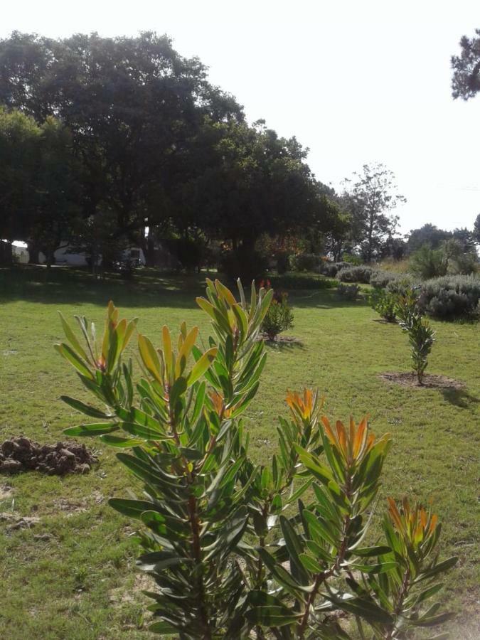 Guinea Fowl Villa Plettenberg Bay Exterior photo